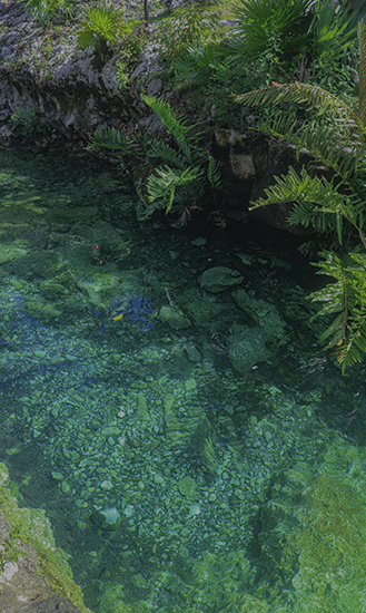 Excursión Tulum + Snorkel con tortugas en Akumal + Cenote Caracol y Caverna Sayab