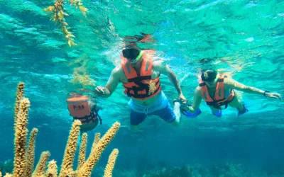 ¿Cómo recaudar dinero para hacer un gran viaje? Guía completa